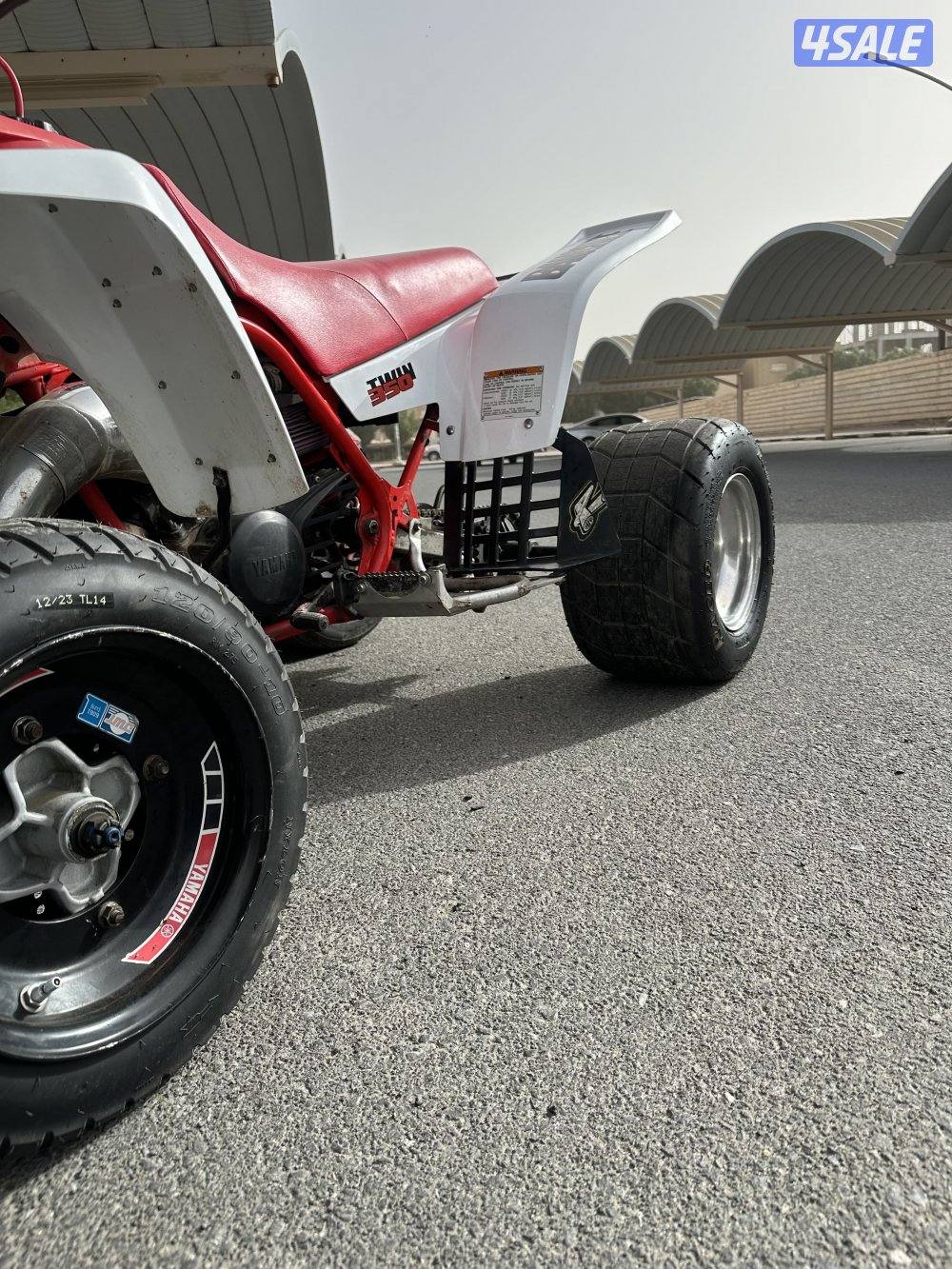 بانشي مافي لحيم11