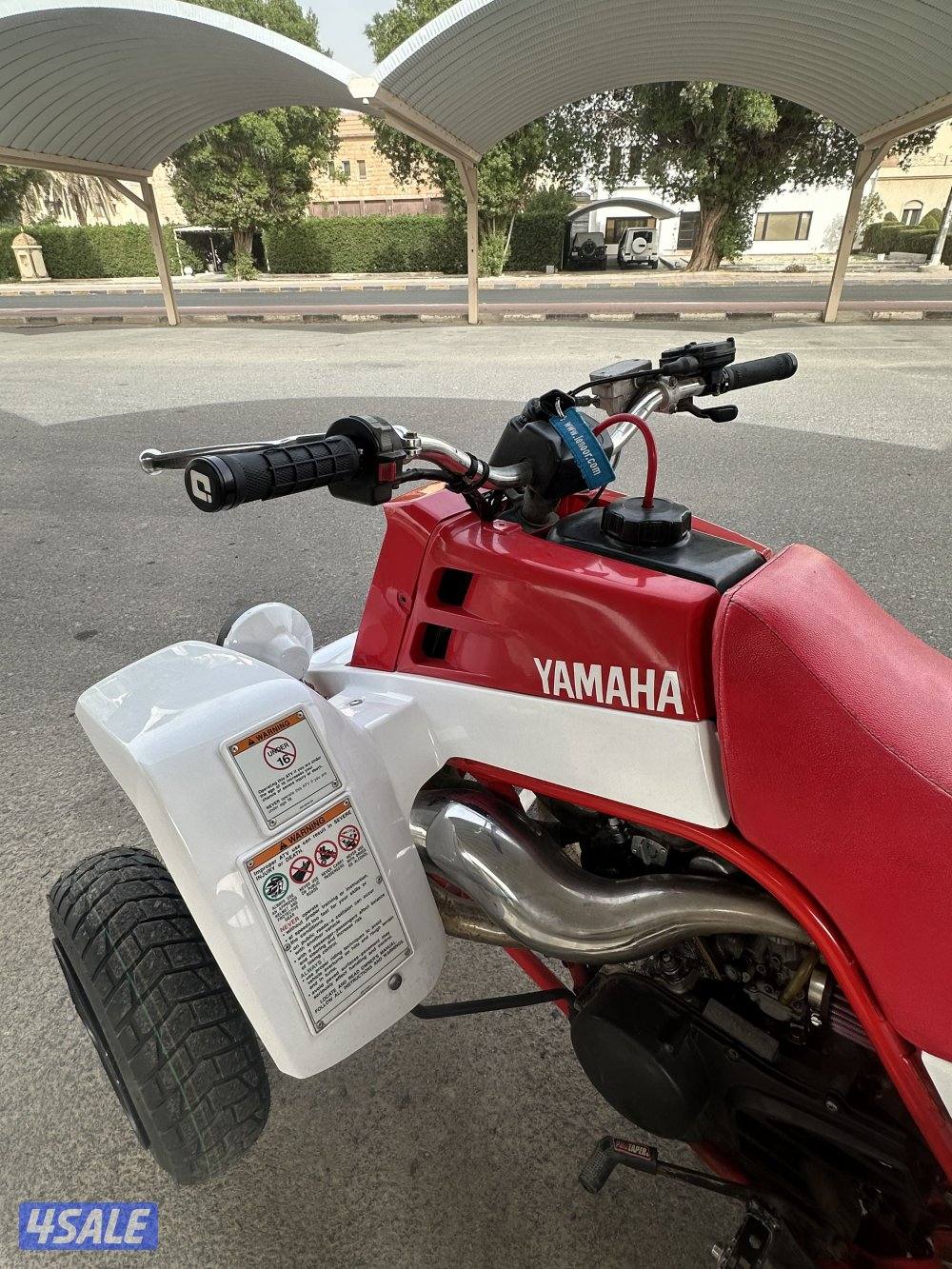 بانشي مافي لحيم12