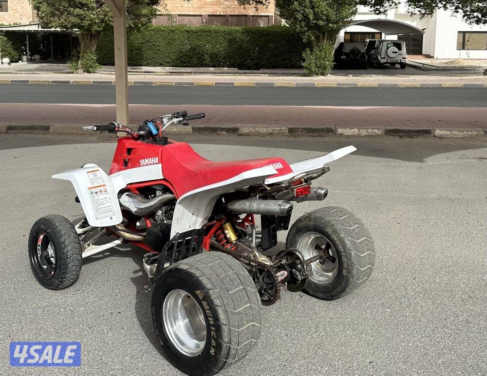 بانشي مافي لحيم13