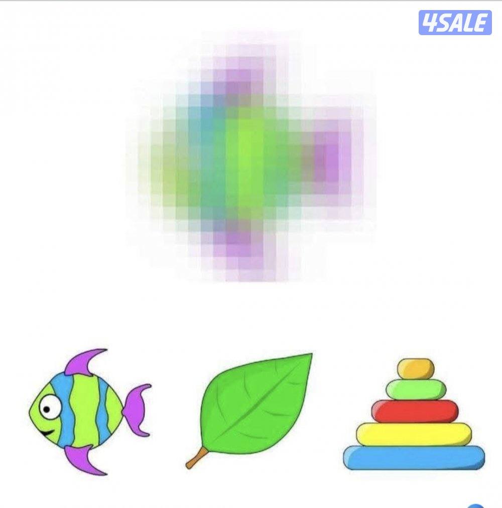 معلمه احتياجات خاصه سن الروضه وتأسيس0