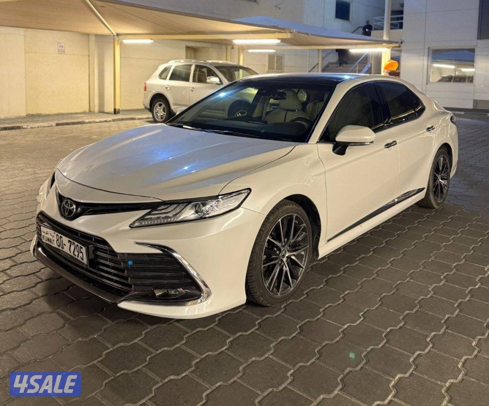 ليميتد صبغ وكالة 20240