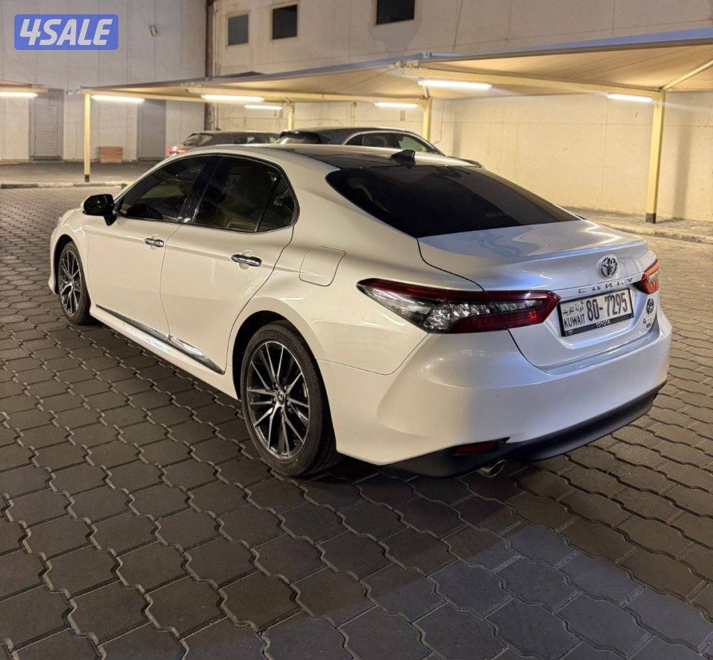 ليميتد صبغ وكالة 20241