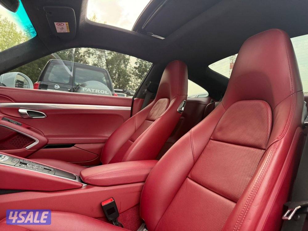 PORSCHE 911 CARRERA _20179