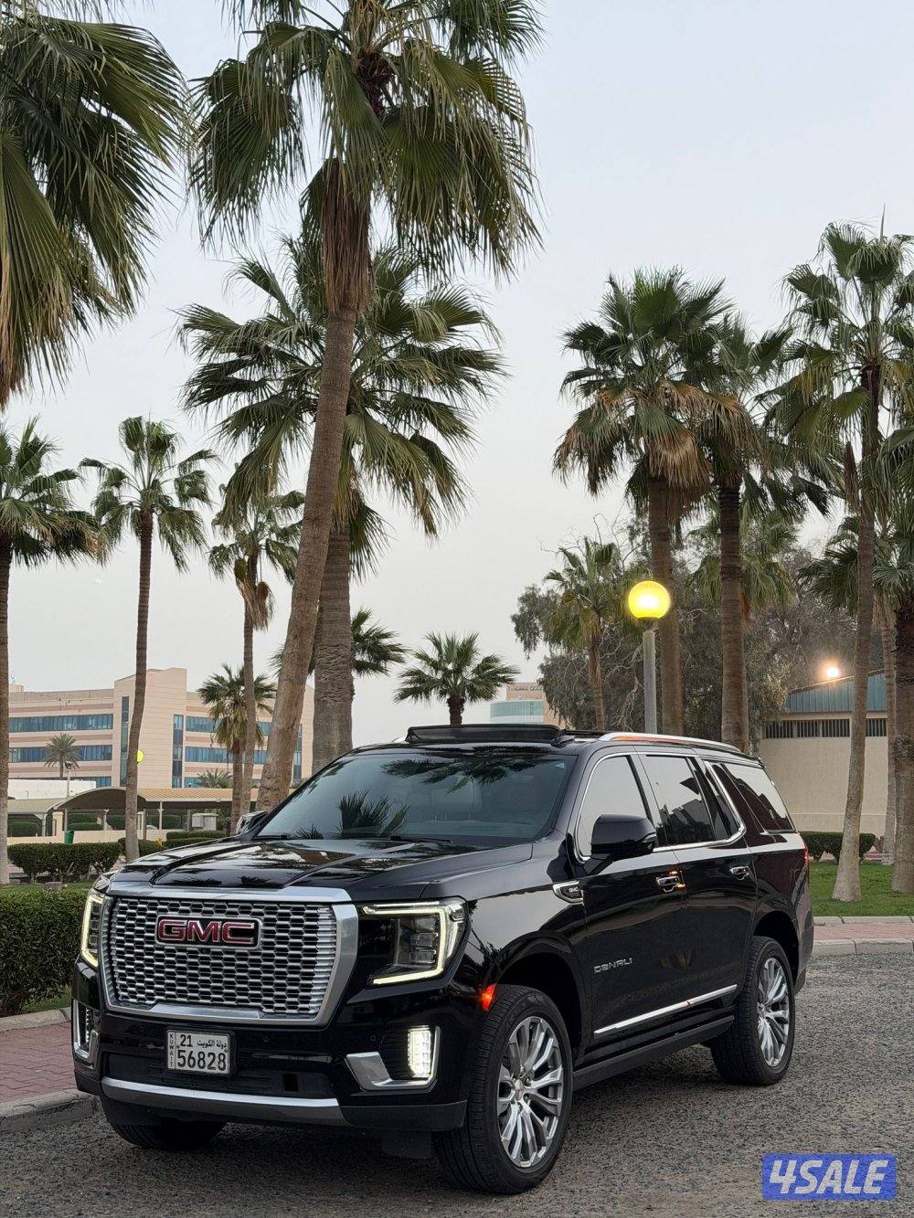 يوكن دينالي 20220