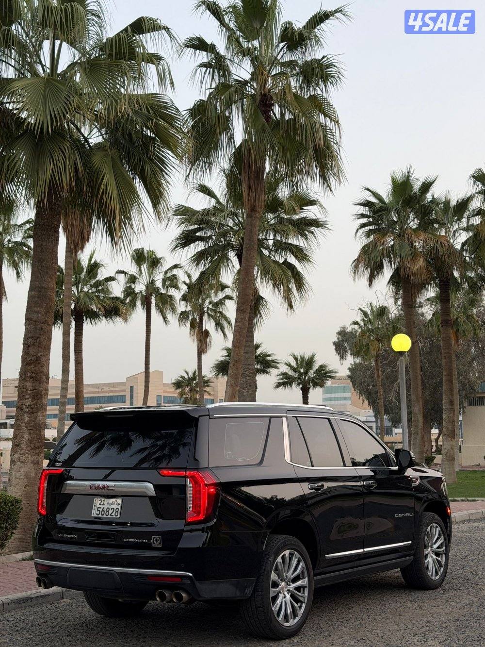 يوكن دينالي 20225