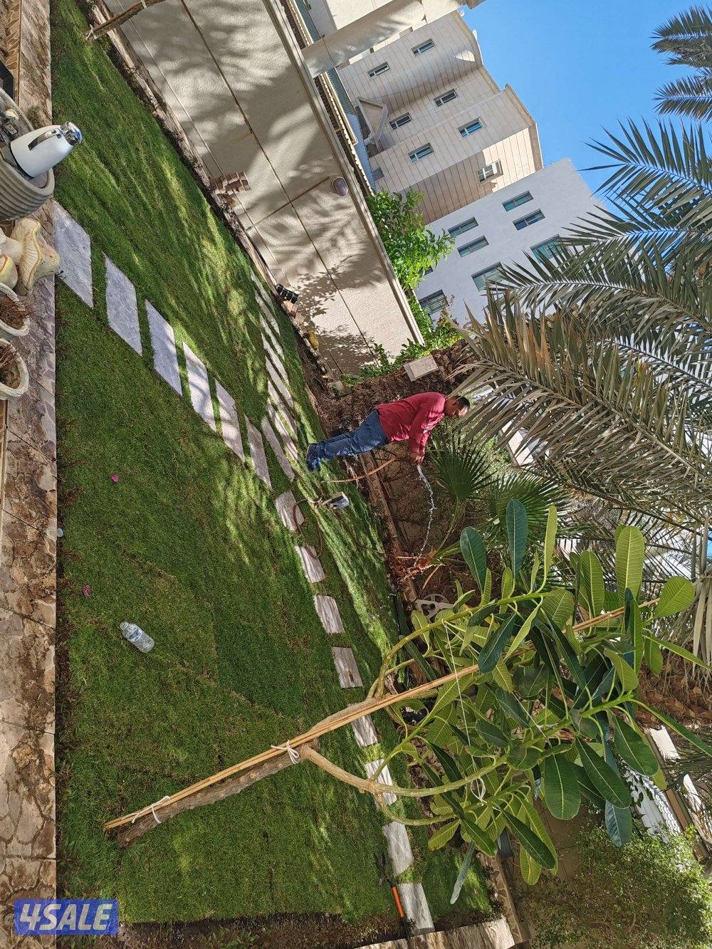 مبيعات ثيل طبيعي وصناعي والسياج التركي وبديل الخشب8