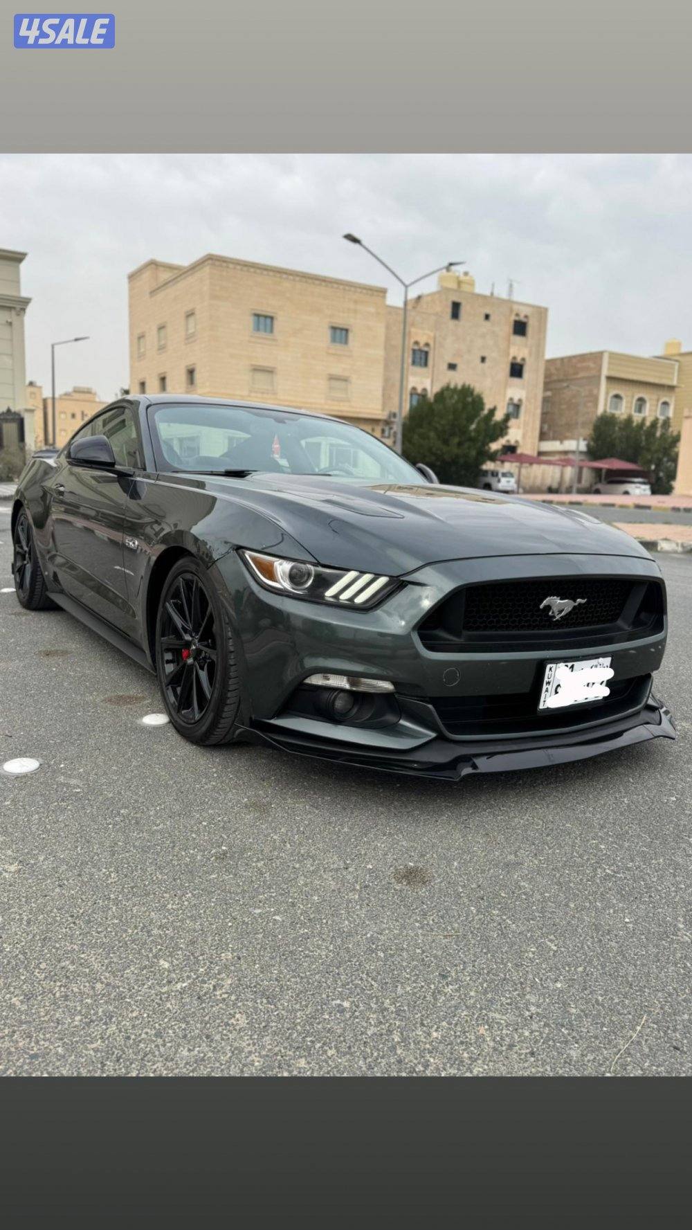 للبيع موستنق0