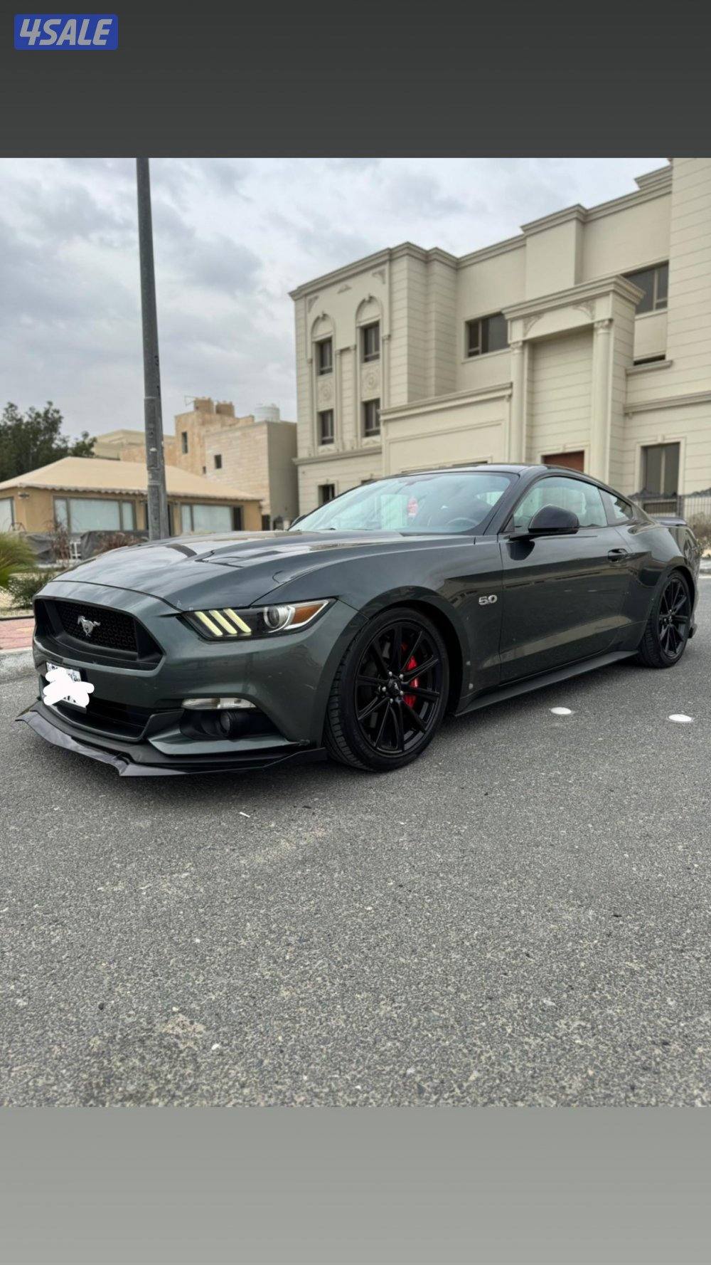 للبيع موستنق1