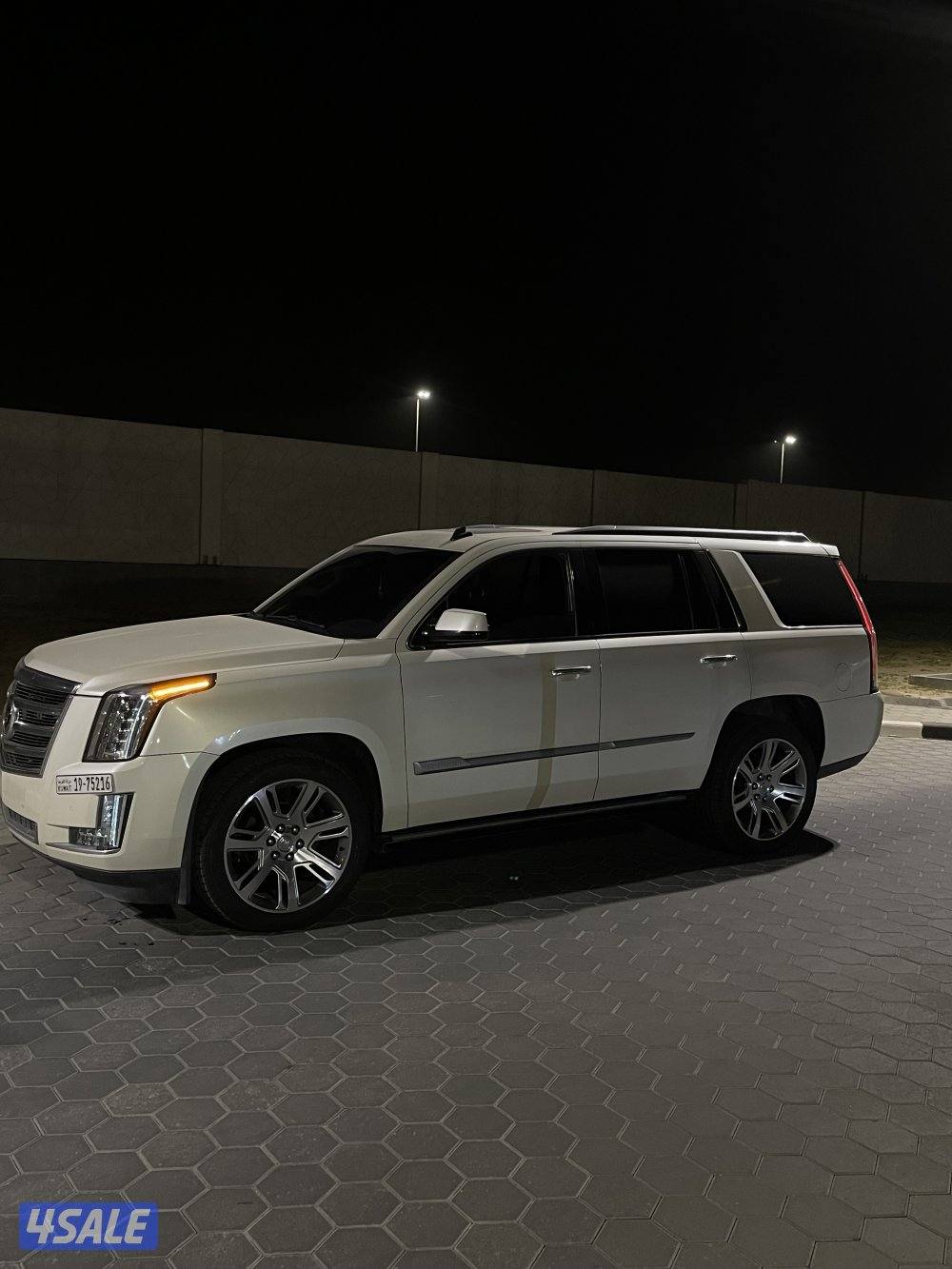 للبيع اسكلد 20155