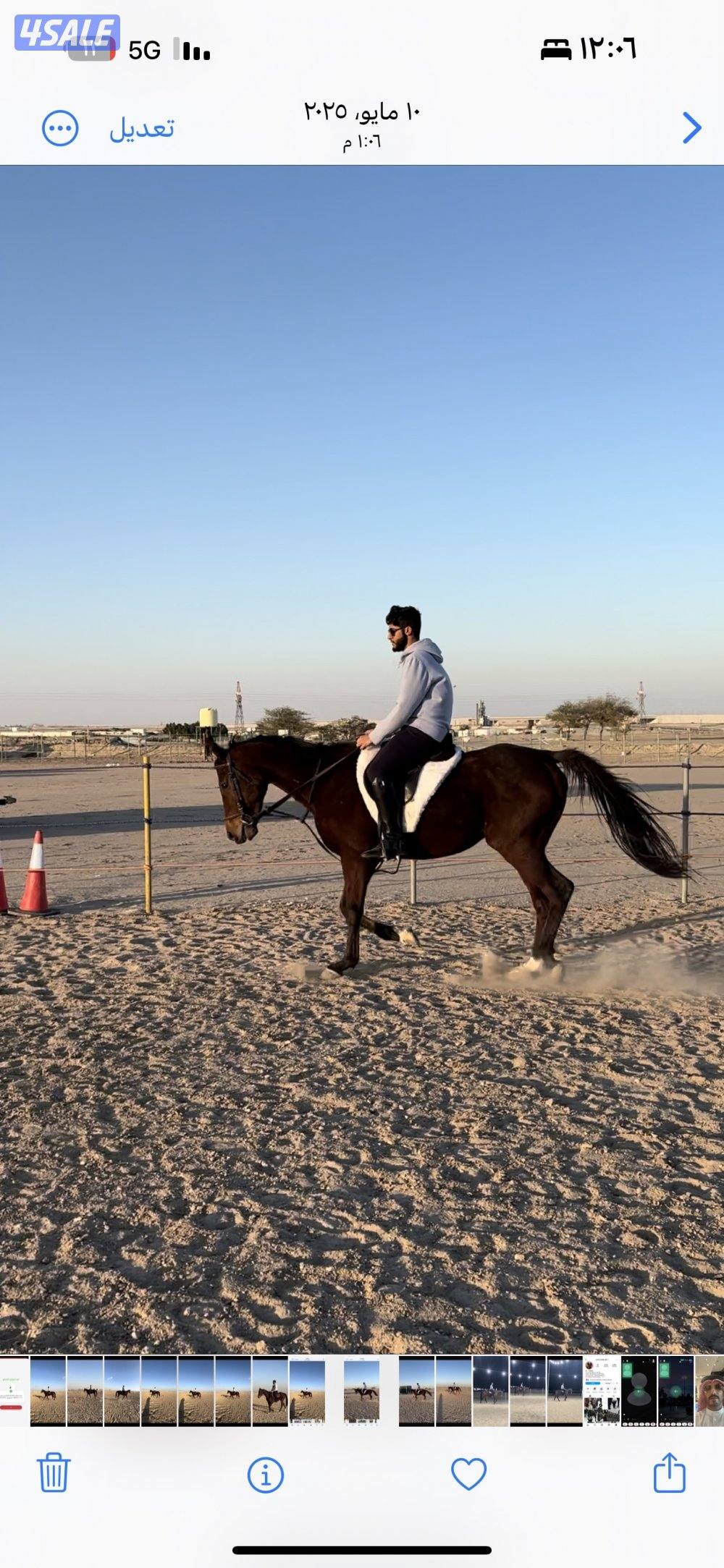 مربط ومدرسة تعليم اساسيات ركوب الخيل6