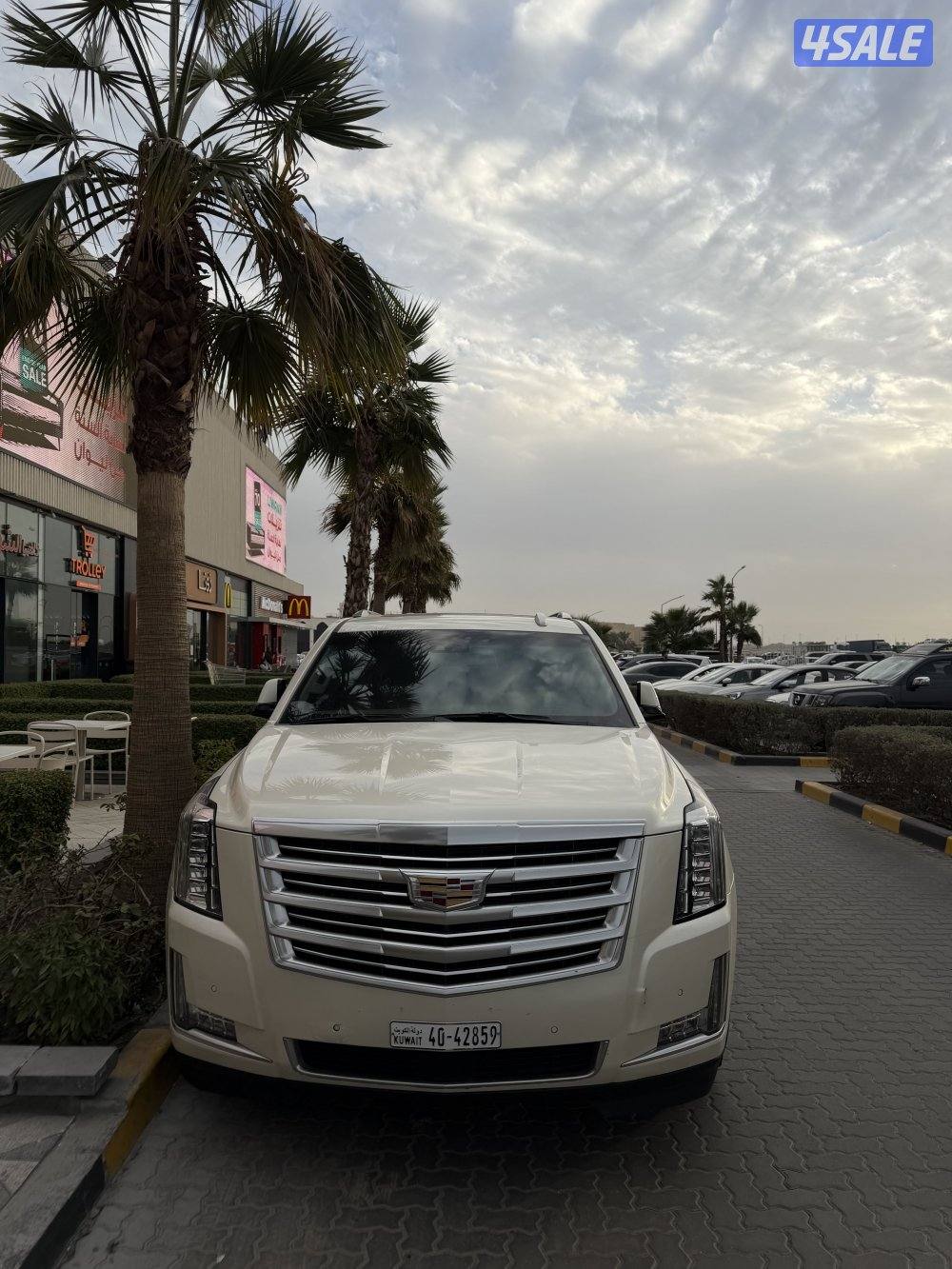 سكاليد بلاتينيوم 8 غيار1