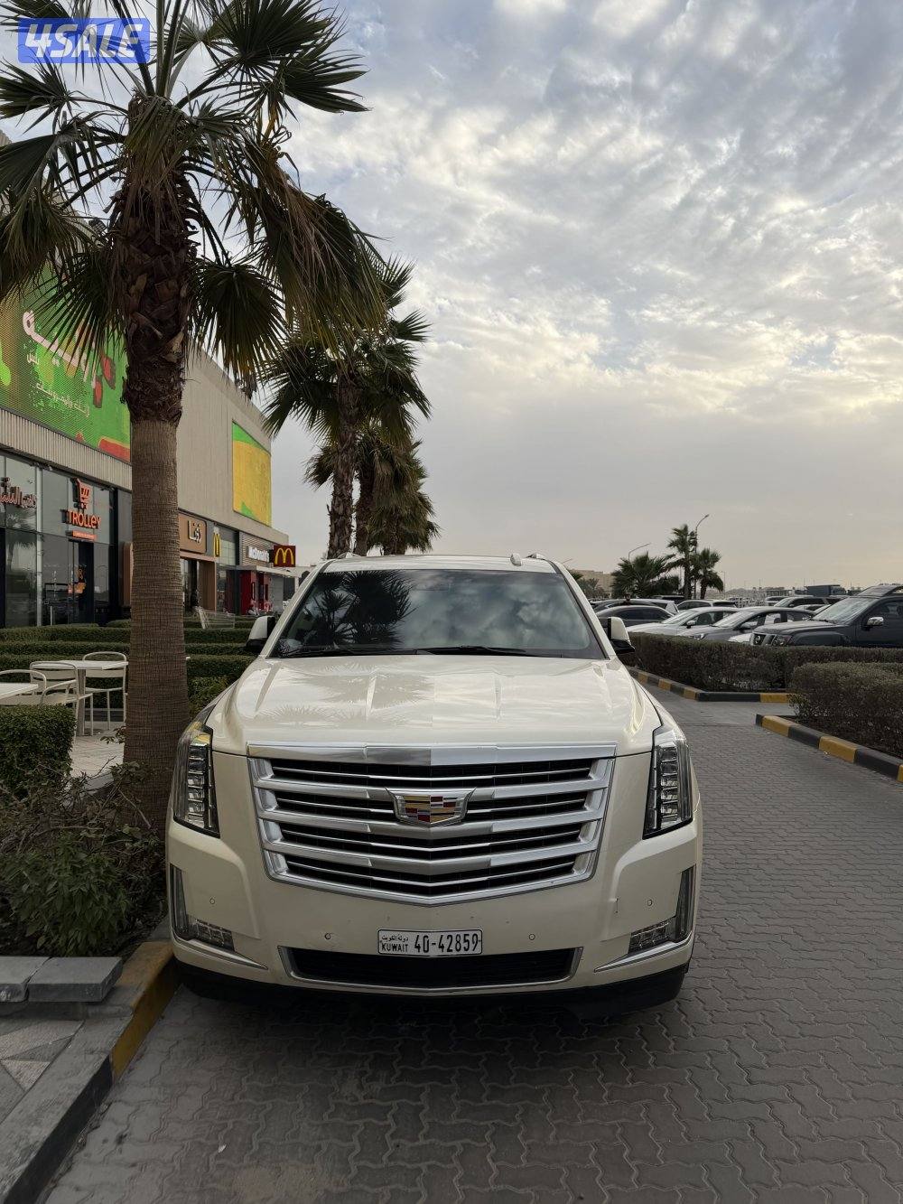 سكاليد بلاتينيوم 8 غيار5