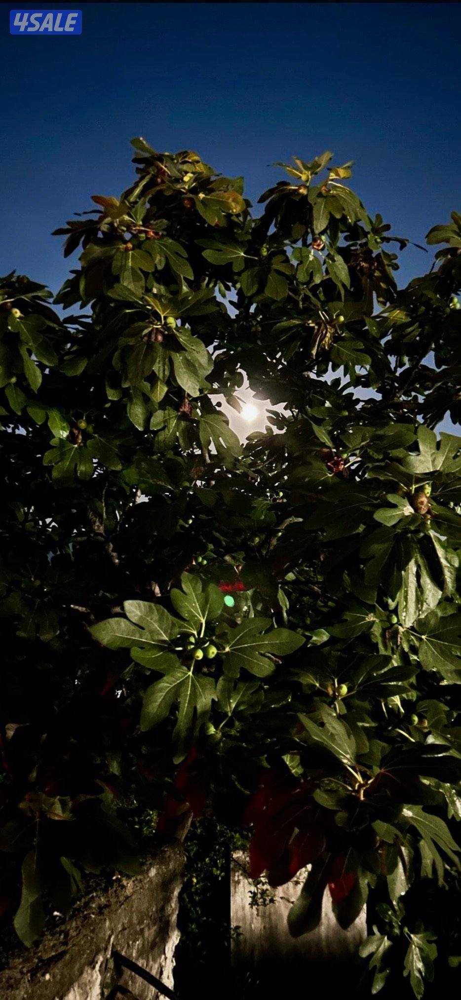 شاب سوري ابحث عن عمل0