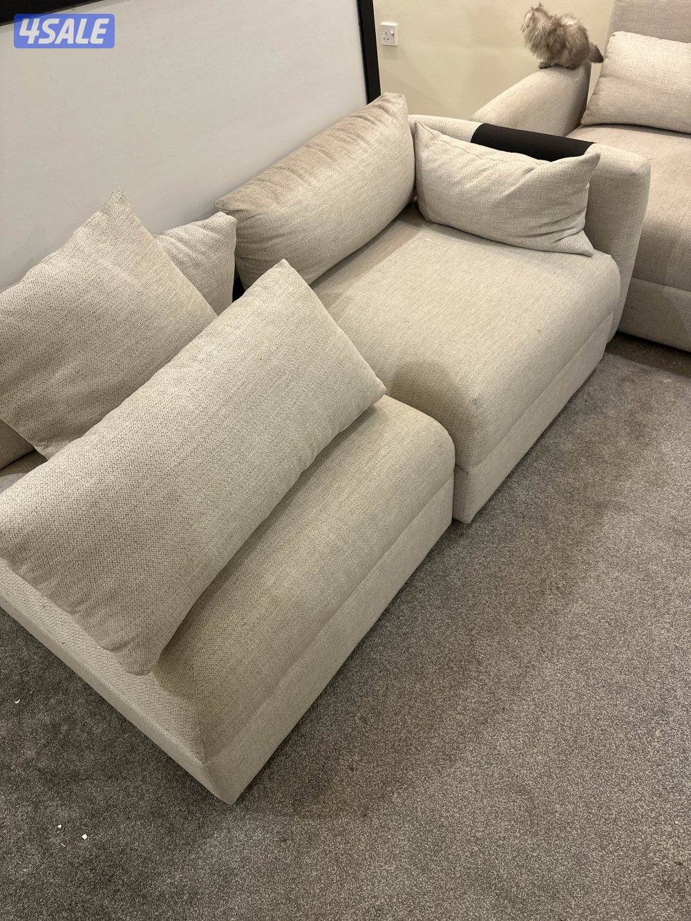 غنفات عدد 80