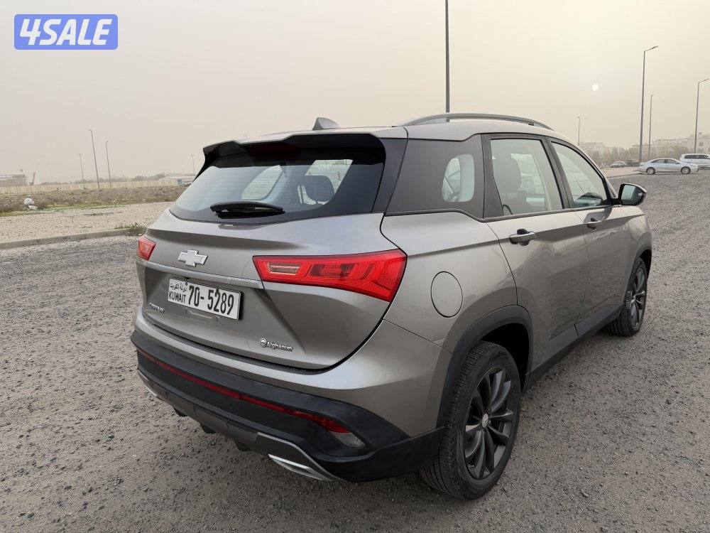 كابتيفيا 2023 صبغ وكالة0