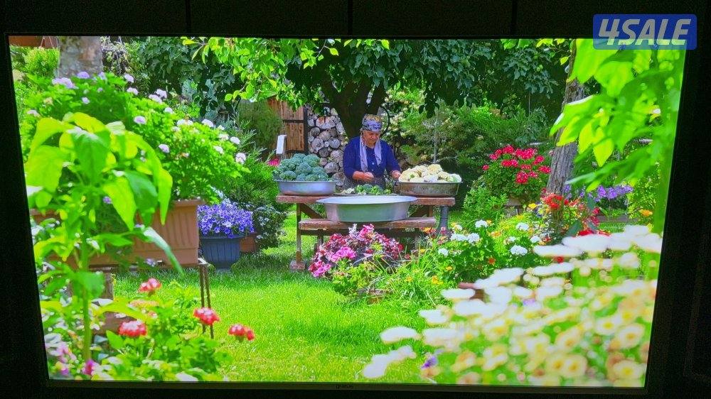 24ساعة⏰تلفزيونات واستاندات💯ريموتات💯11