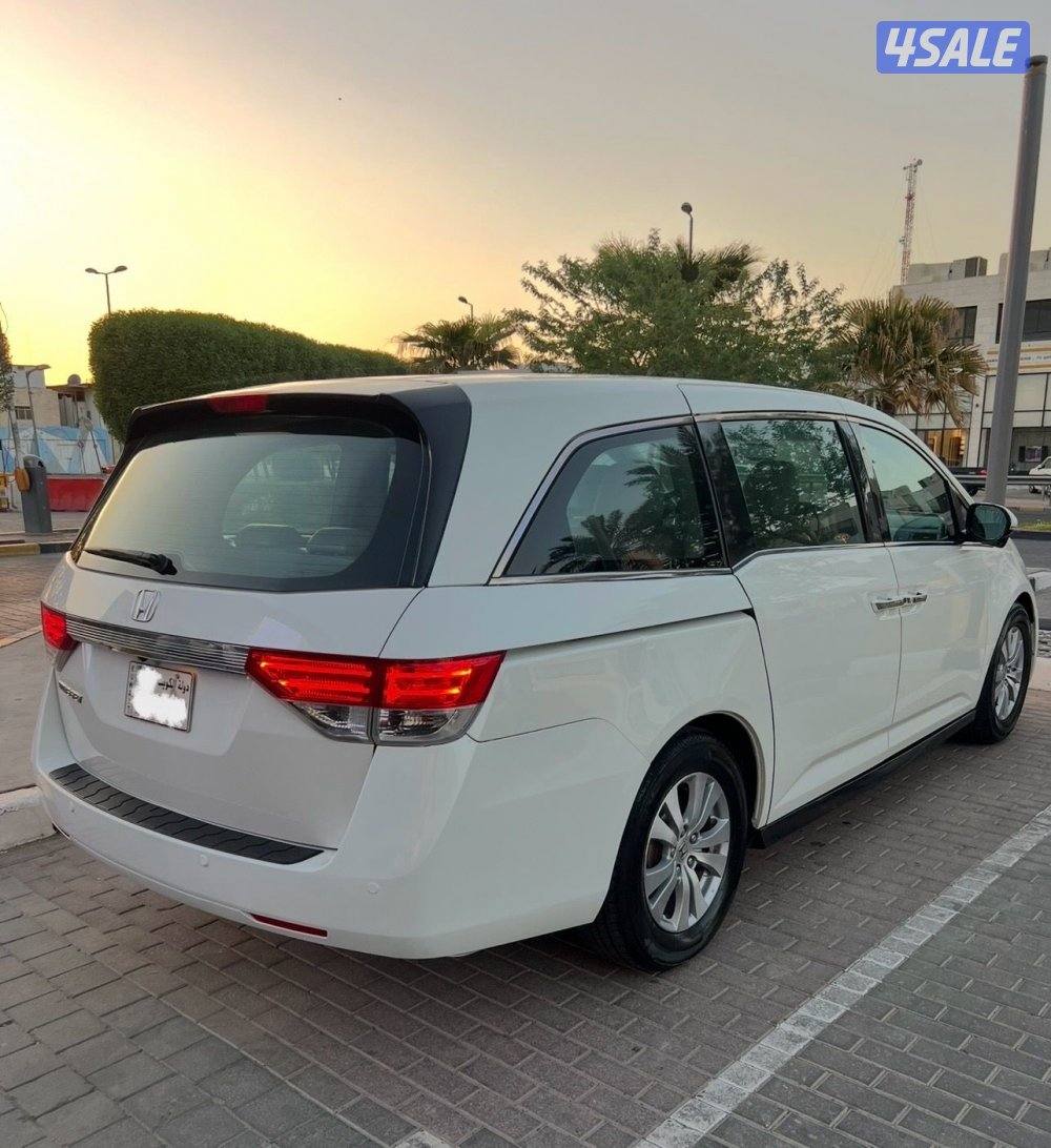 صبغ الوكالة، مالك أول، فل اوبشن1