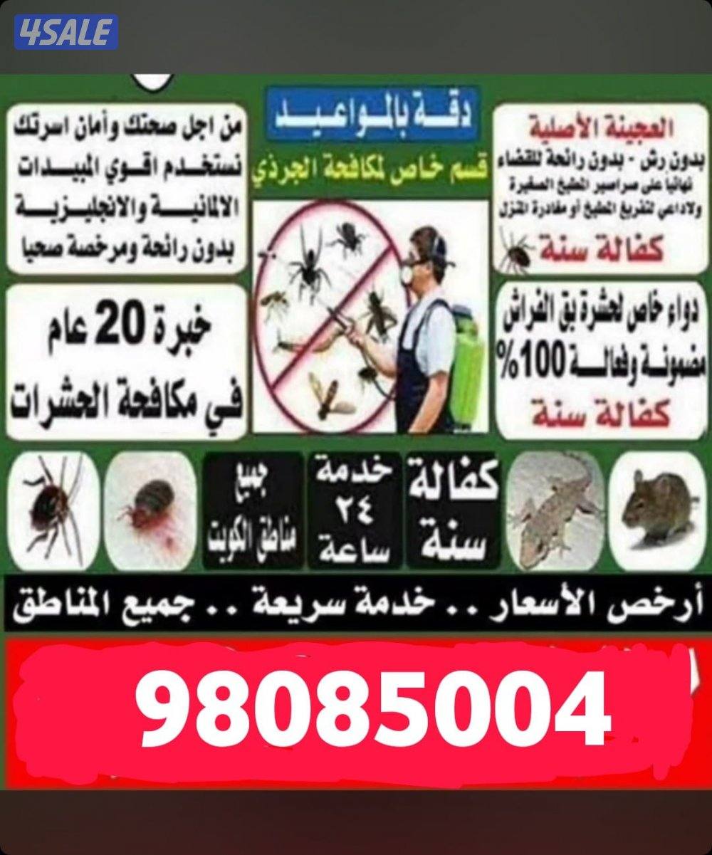 رش حشرات نمل صرصير فيران كفاله سنه ٢٤ ساعه0