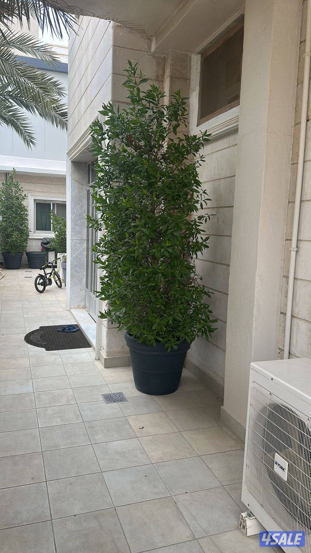 تنسيق حدائق ابوحسين0