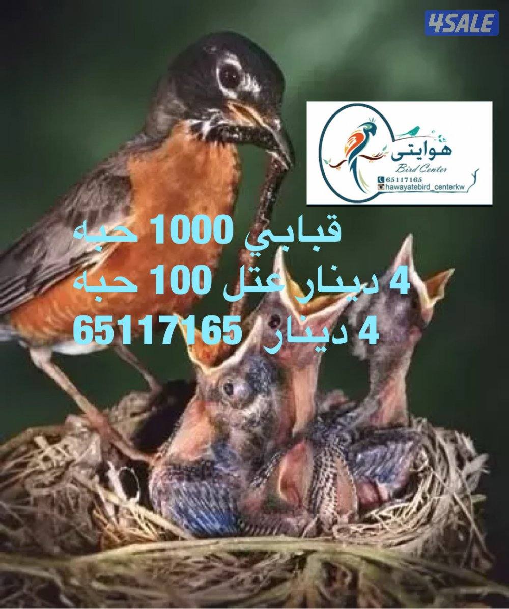 أمازون اورنج وينج  زوج3