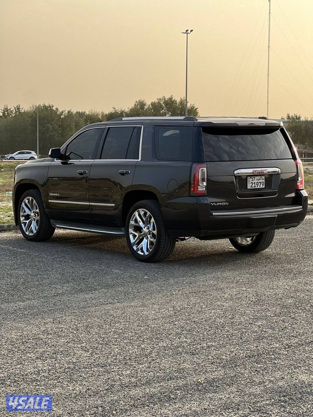 دينالي فحص بالكامل صبغ وكاله0