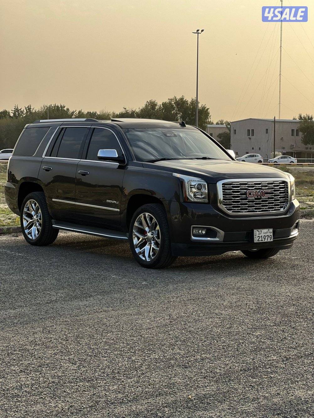 دينالي فحص بالكامل صبغ وكاله1