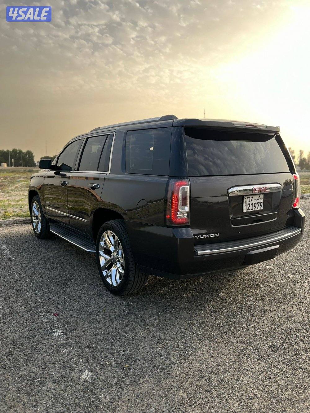 دينالي فحص بالكامل صبغ وكاله2