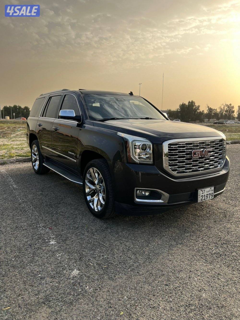 دينالي فحص بالكامل صبغ وكاله3