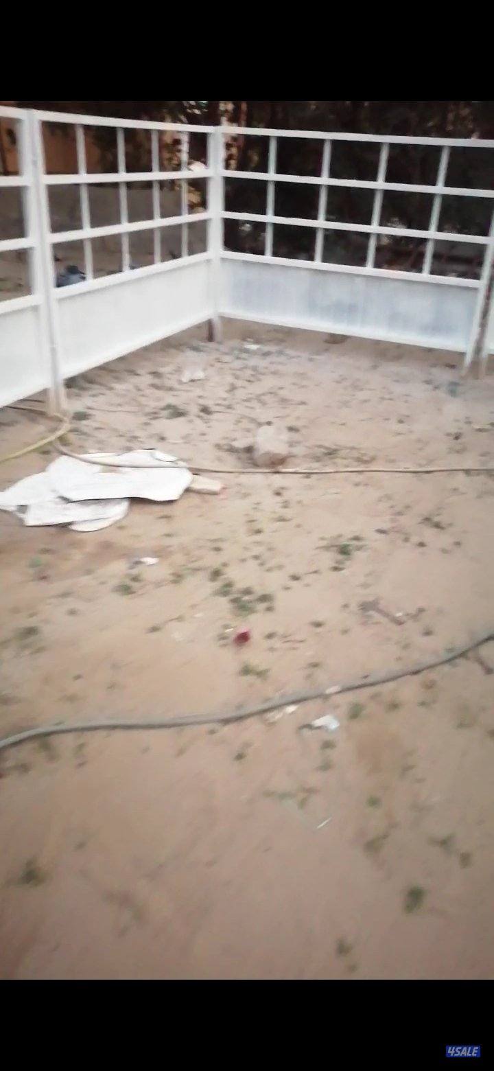 للبيع اشبوك2