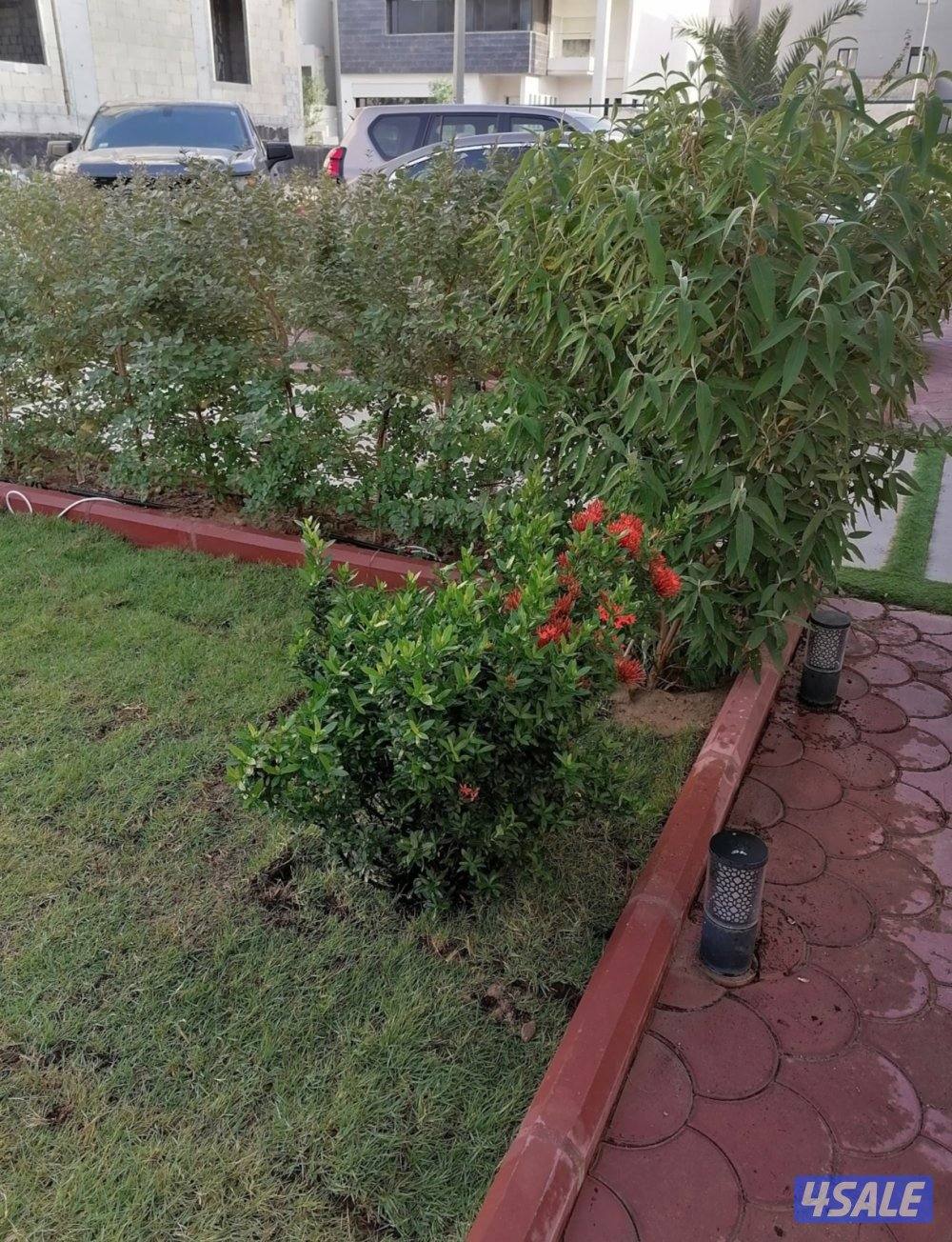 بيع وتركيب الثيل الصناعي والطبيعي وشبكات الري والسياج التركي3