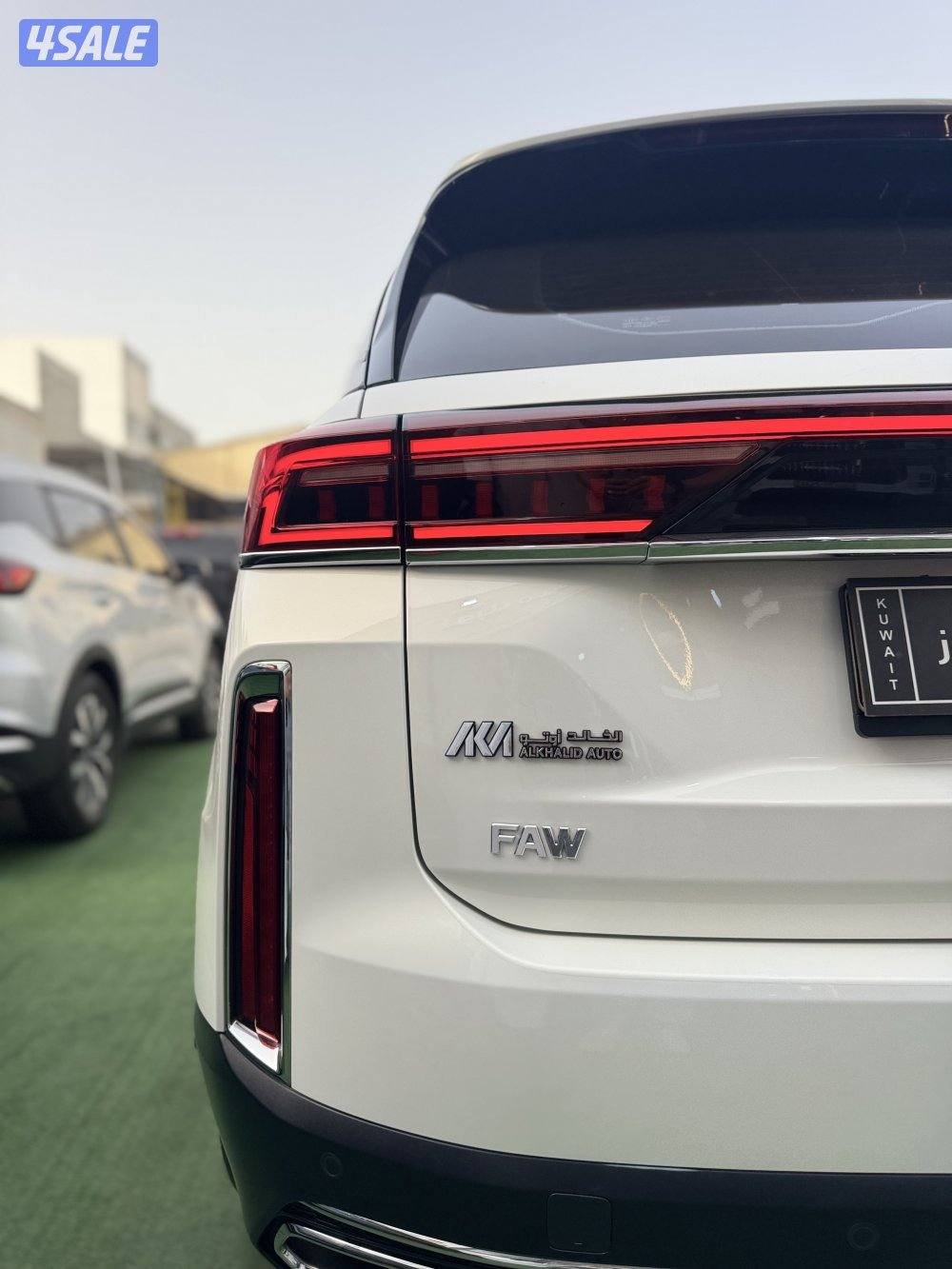 بيستون T99 (صبغ وكالة - تحت الكفاله )6