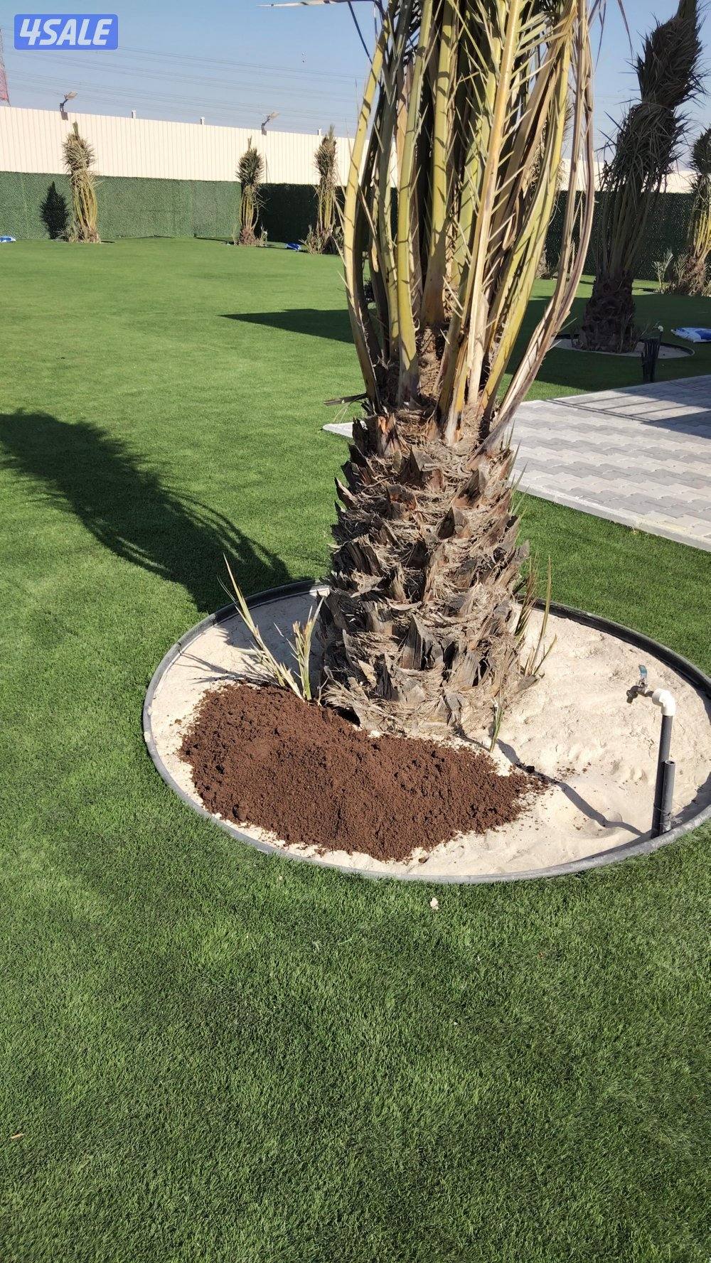 ابو علي للنخيل والزراعه والحدائق4