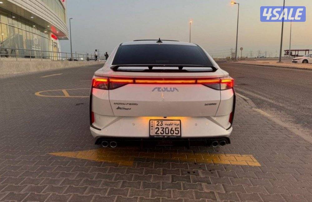 دي اف ام A30 موديل 2025 صبغ الوكالة3