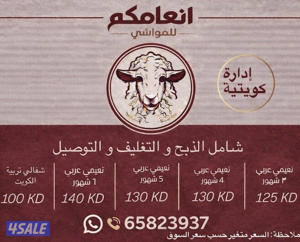 متوفر جميع انواع المواشي0