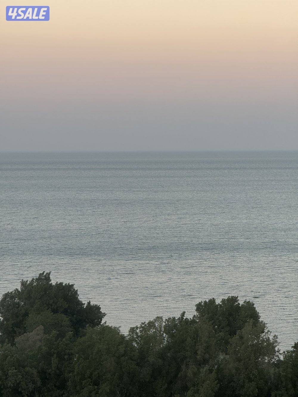 للبيع شقه اطلاله بحريه كامله صف اول0