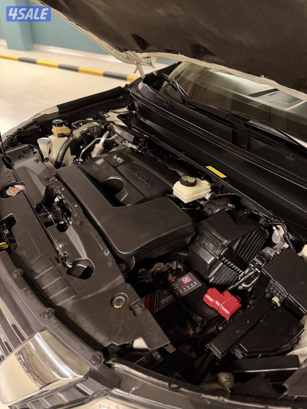 باثفندر 2018 صبغ وكالة عداد 1246