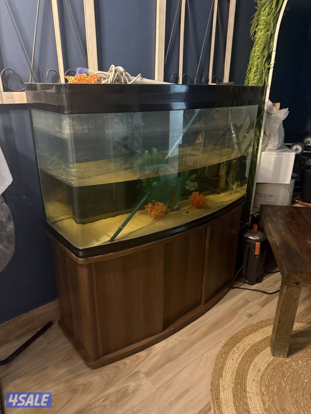 حوض سمج كبير نظيف التواصل0