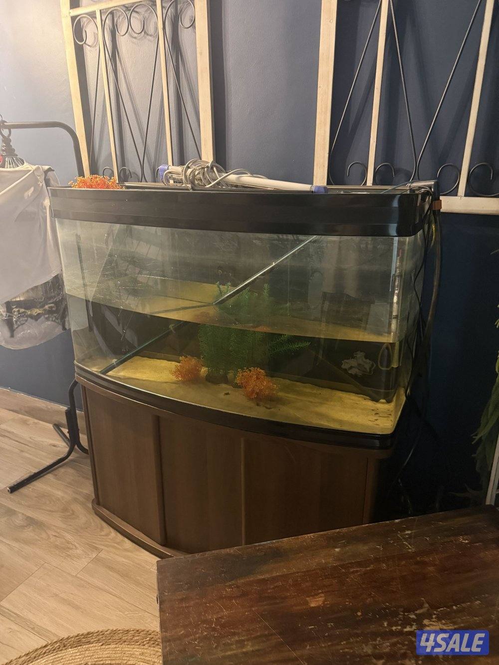 حوض سمج كبير نظيف التواصل1