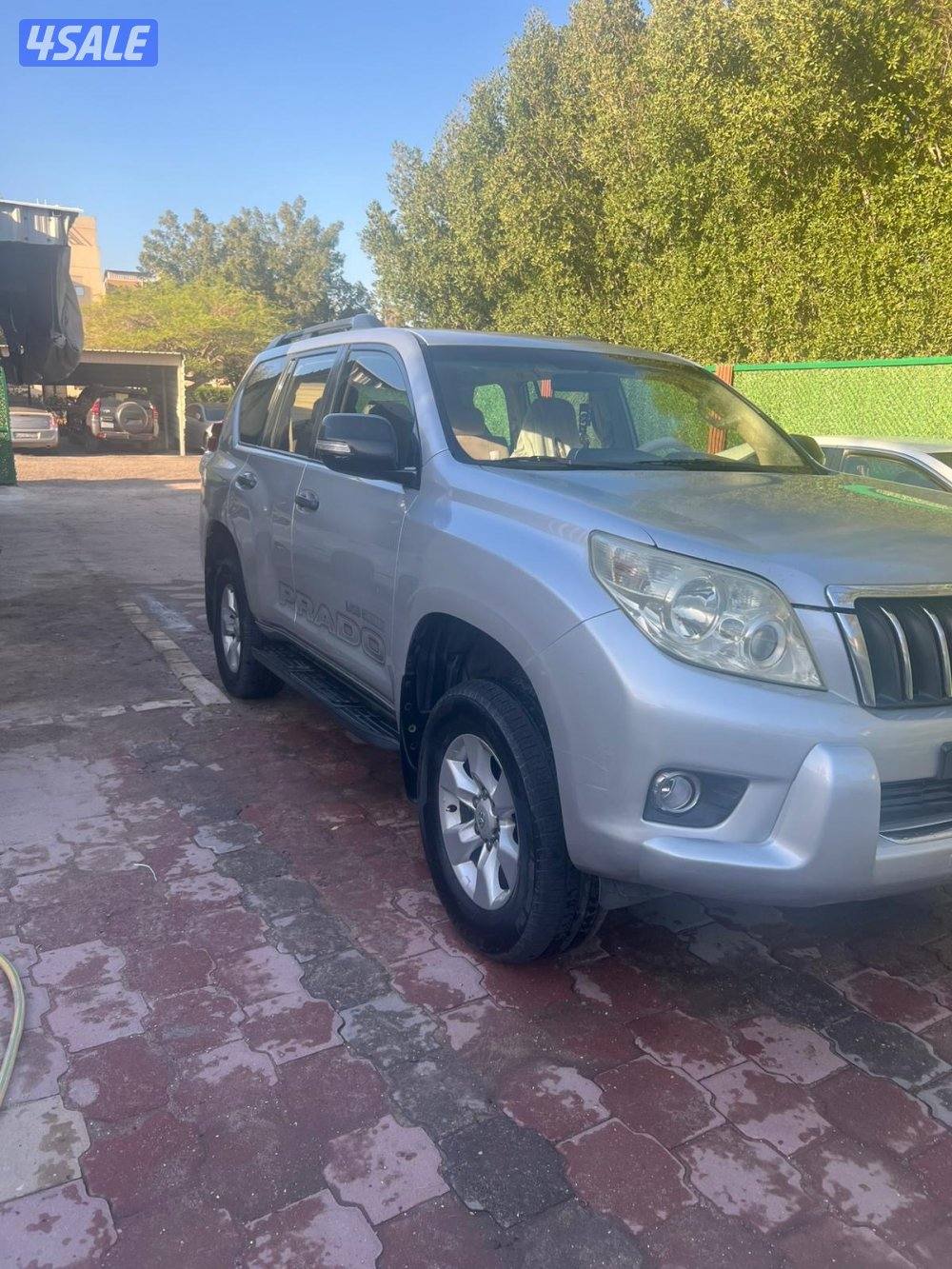 برداو شرط الفحص1