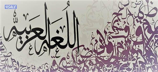 مدرس لغة عربية و إسلامية0