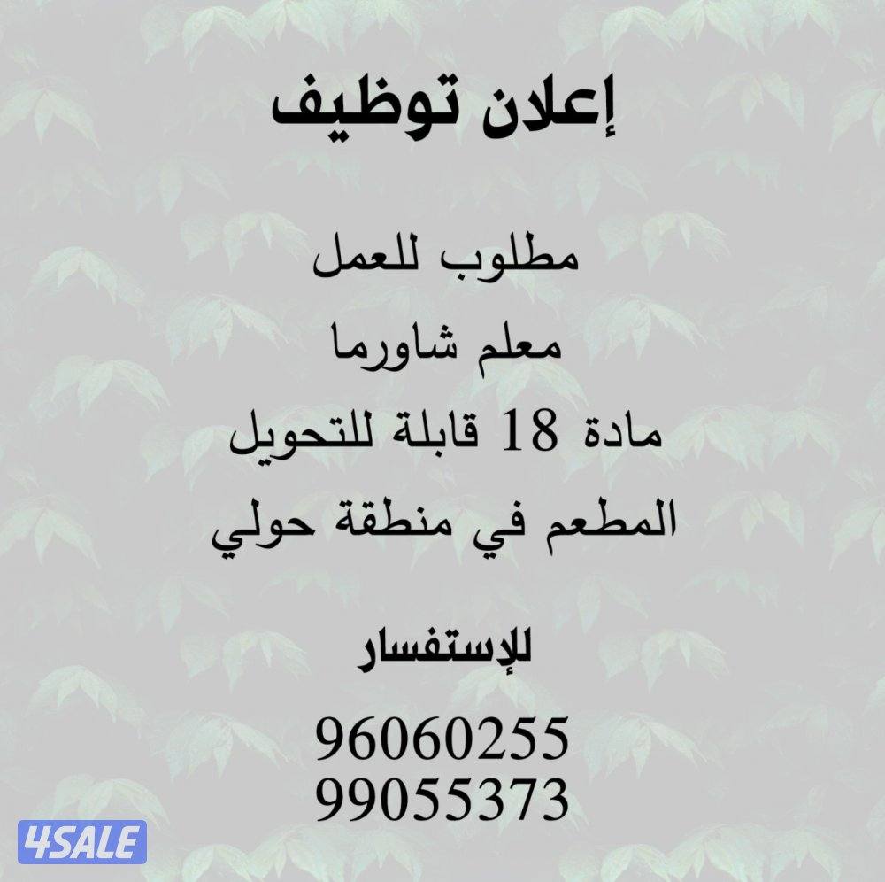 مطلوب معلمين شاورما0