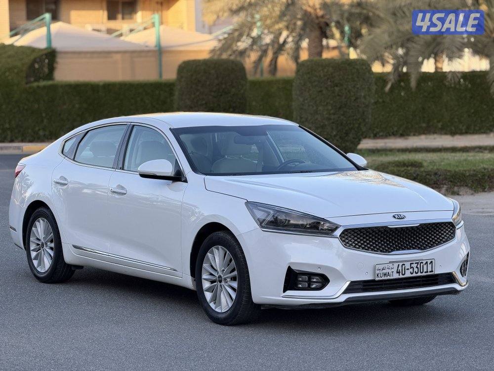 كادينزا 2017 (( صبغ الوكالة بالكامل ))1