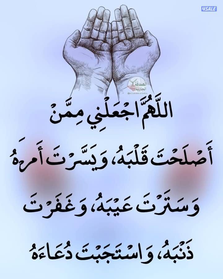 للبيع فرس واهو مصرية بيور رسن دهمان شهوان0