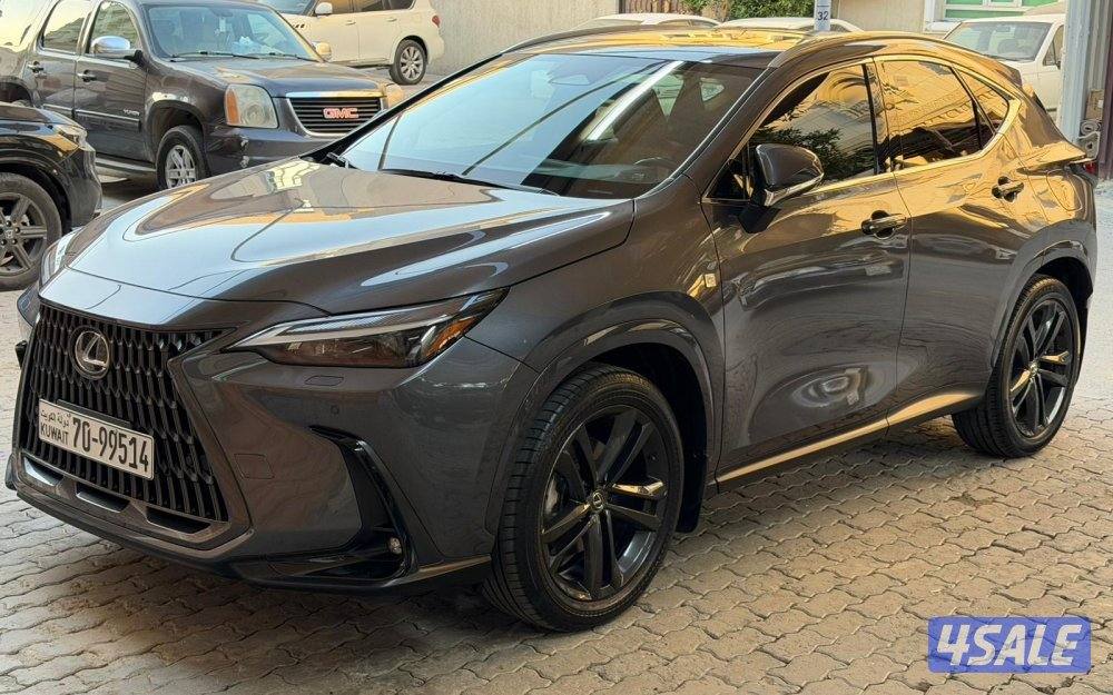 جيب NX350 شرط الفحص0