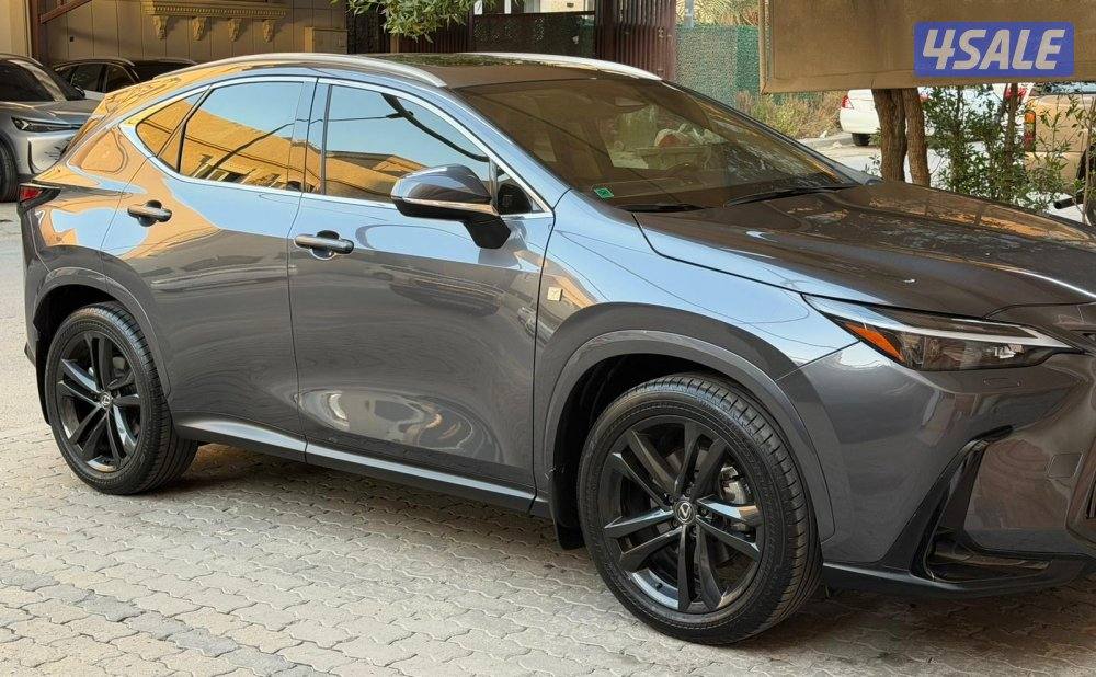 جيب NX350 شرط الفحص1