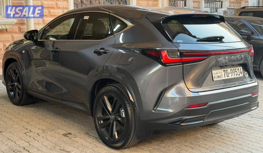 جيب NX350 شرط الفحص3