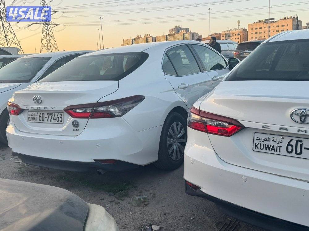 جمله ومفرد 20228