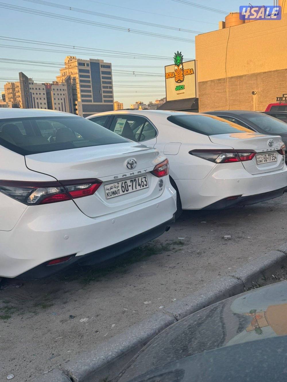 جمله ومفرد 20229