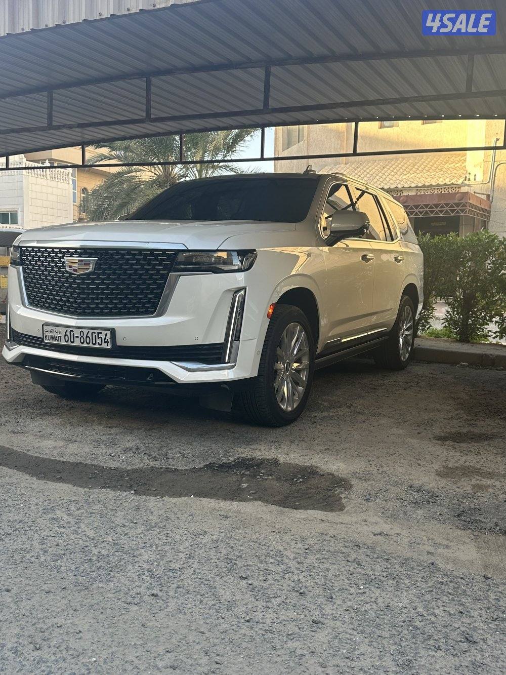 اسكاليد 20210