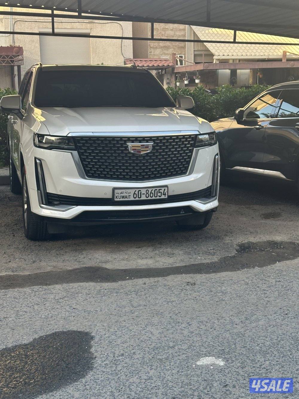 اسكاليد 20211